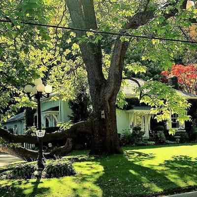 Canterbury Cottage - 129 Main Street West