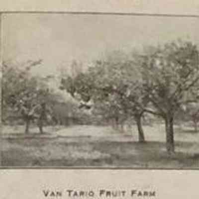 VanDyke's farm