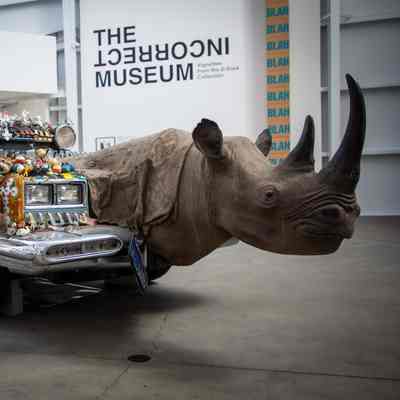 Rhinocar