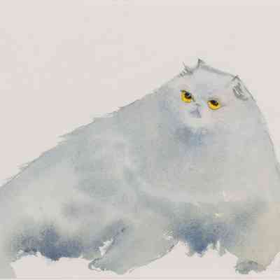 Untitled (Cat)