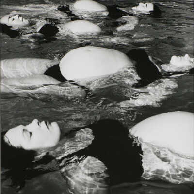 Lily Pads