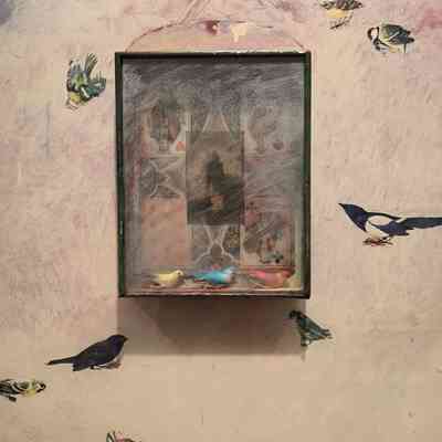 Birdcage