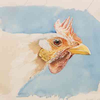 Hen Painting