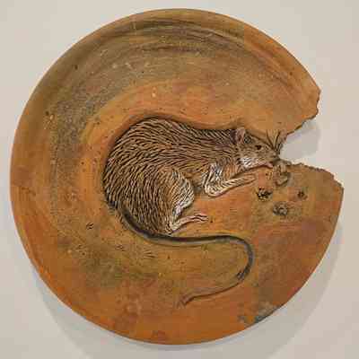 Rat Plate #9