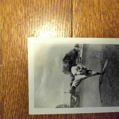 Photograph