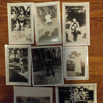 Photograph