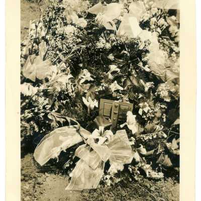 Photograph