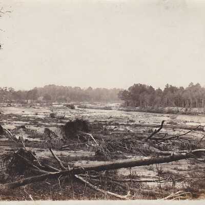 Photograph #804 (auto-assigned)