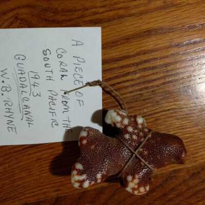 Object/Artifact #296 (auto-assigned)