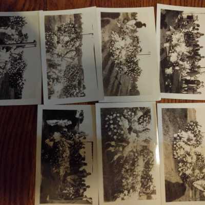Photograph