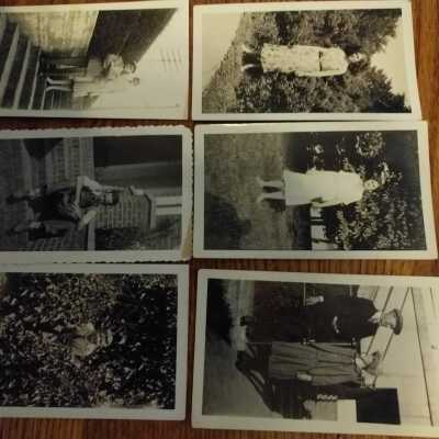 Photograph