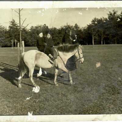 Photograph