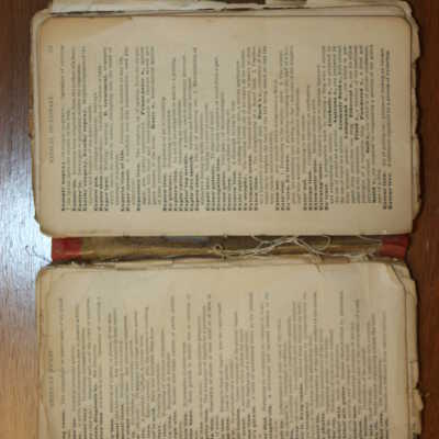 American Pocket Medical Dictionary - 1911