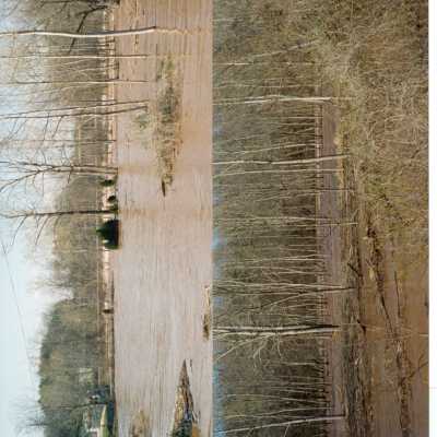 Photograph #399 (auto-assigned)