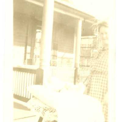 Photograph