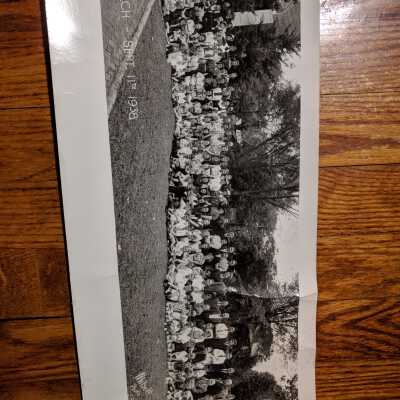 Photograph