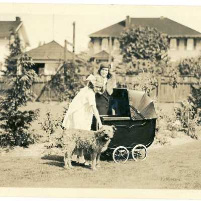 Photograph