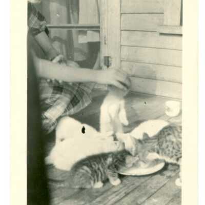 Photograph