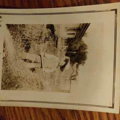 Photograph