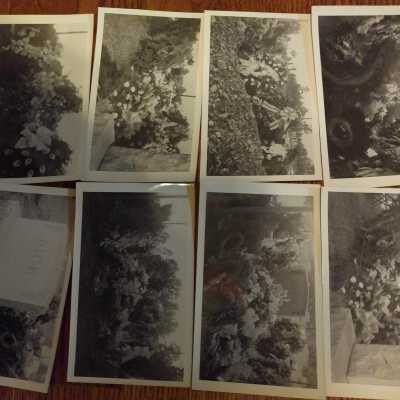 Photograph