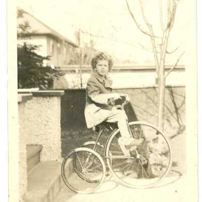 Photograph