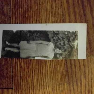 Photograph