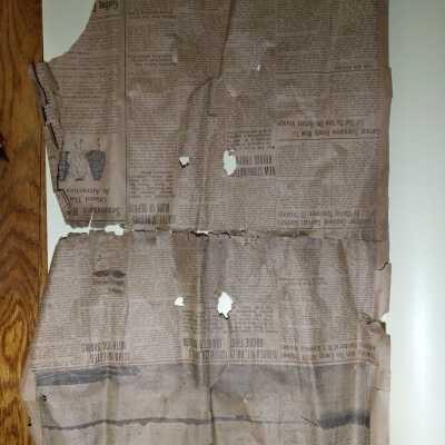 Newspaper