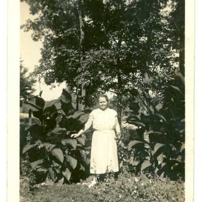 Photograph