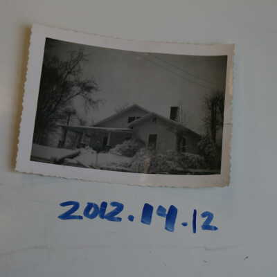 Photograph