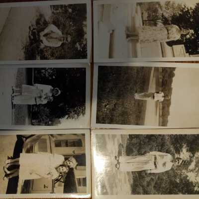 Photograph