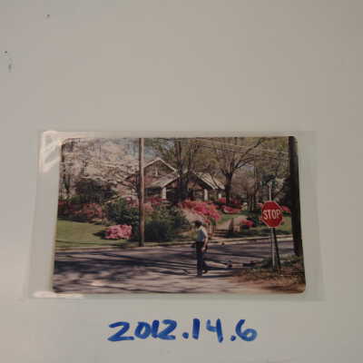 Photograph