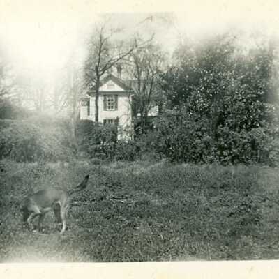 Photograph
