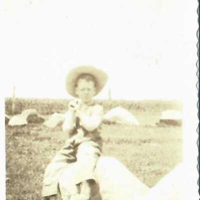 Photograph