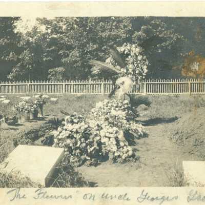 Photograph