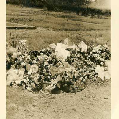 Photograph