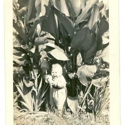 Photograph
