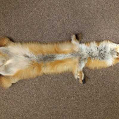 Pelt