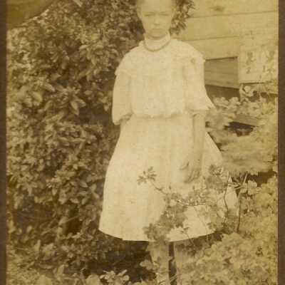 Photograph