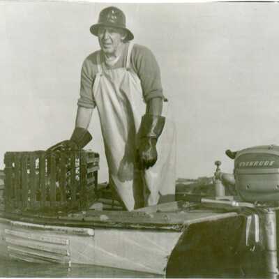 Photograph