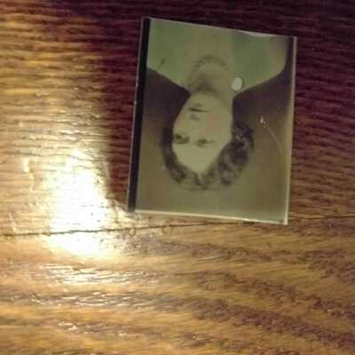 Photograph