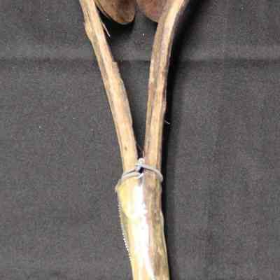 Y-Rattle