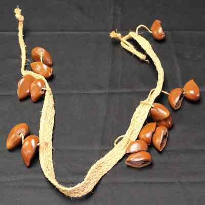 Calabash Rattle Strand