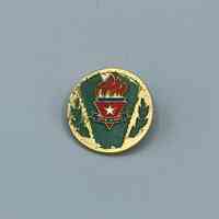          pin, UPJM picture number 1
   
