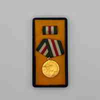         medal, Literacy Campaign picture number 1
   