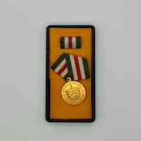          medal, Literacy Campaign picture number 2
   