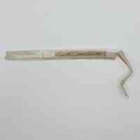 Hospital birth-identification bracelet, 1973