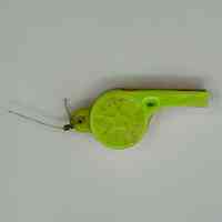          whistle picture number 2
   