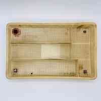 Perforated plastic compartment tray, repurposed as a dish drainer with bottle-cap feet