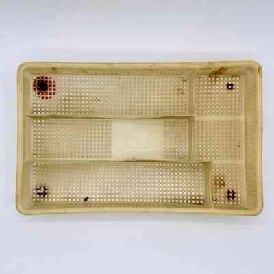 Perforated plastic compartment tray, repurposed as a dish drainer with bottle-cap feet