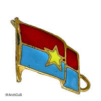 pin, Viet Cong flag